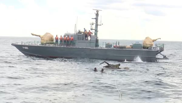 Navy rescues an elephant at sea - اسپوتنیک افغانستان  