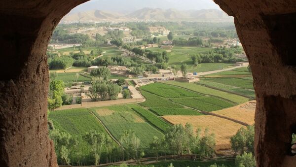 دومین جشنواره زمستانی گردشگری در بامیان گشایش یافت - اسپوتنیک افغانستان  