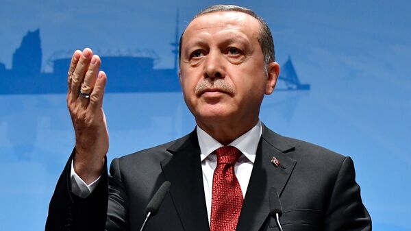 اردوغان: به تنهایی با داعش جنگیدیم - اسپوتنیک افغانستان  