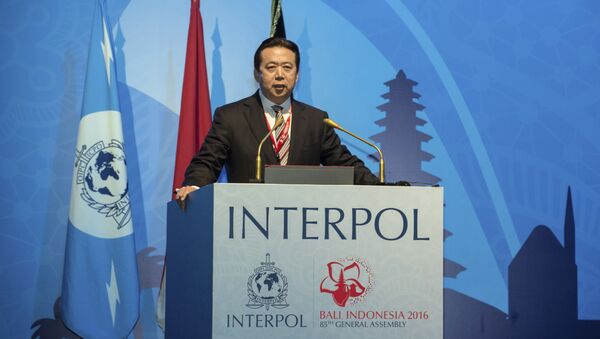 In this photo released by Xinhua News Agency, China's Vice Minister of Public Security Meng Hongwei delivers a campaign speech at the 85th session of the general assembly of the International Criminal Police Organization (Interpol), in Bali, Indonesia, Nov. 10, 2016 - اسپوتنیک افغانستان  