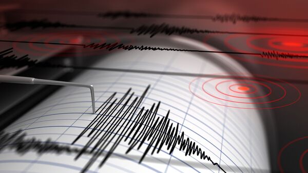 زمین لرزه 7 ریشتری در سواحل اندونزی - اسپوتنیک افغانستان  
