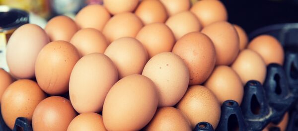 تخم مرغ از مرگ زودرس جلوگیری می کند تخم مرغ از مرگ زودرس جلوگیری می کند - اسپوتنیک افغانستان