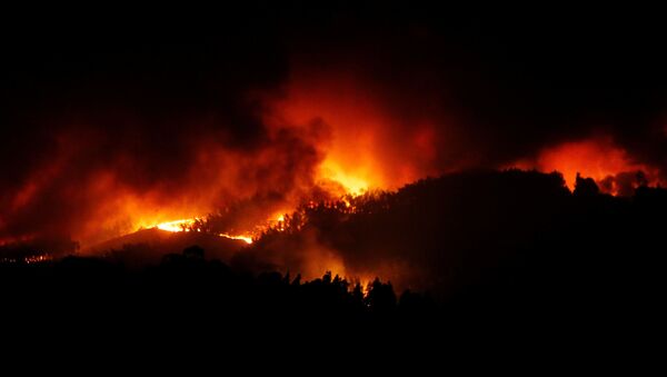 شعله مهیج: گردباد آتشین در پرتقال+ویدیو - اسپوتنیک افغانستان  