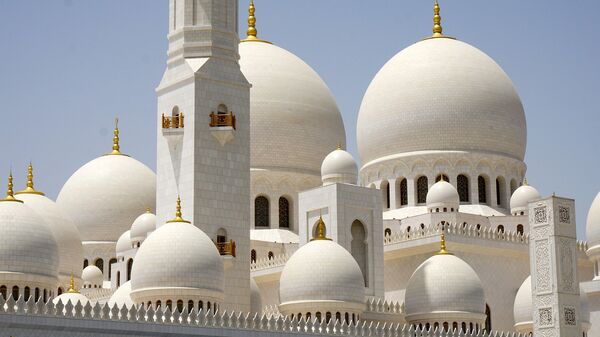 Sheikh Zayed Bin Sultan Al Nahyan Mosque, Abu Dhabi - اسپوتنیک افغانستان  