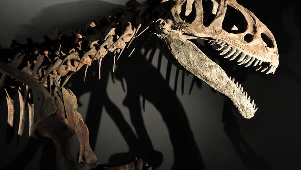 Скелет динозавра - اسپوتنیک افغانستان  