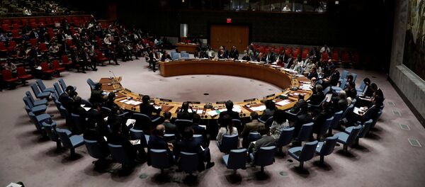 تلاش امریکا برای تمدید تحریم تسلیحاتی ایران - اسپوتنیک افغانستان  