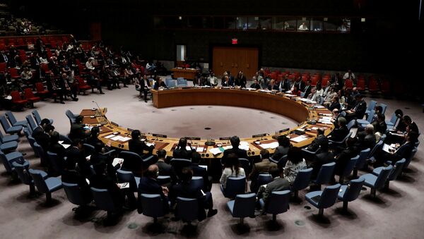 شورای امنیت ملل متحد - اسپوتنیک افغانستان  