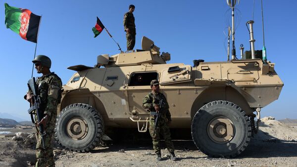 کوچی: نیروهای نظامی افغان بدون کمک امریکا قادر به مبارزه با داعش و طالب هستند - اسپوتنیک افغانستان  