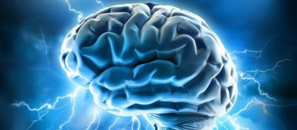 دانشمندان معلوم نموده که چگونه میتوان مغز را از تخریبات کبر سن حفاظت کرد دانشمندان معلوم نموده که چگونه میتوان مغز را از تخریبات کبر سن حفاظت کرد - اسپوتنیک افغانستان