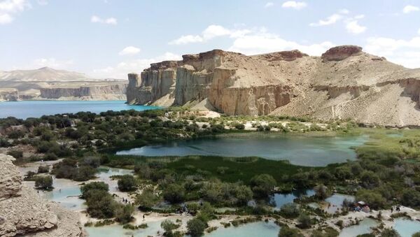 افغانستان برخی از پروژه‌هایش را برای تهیه علوفه تعطیل می‌کند - اسپوتنیک افغانستان  