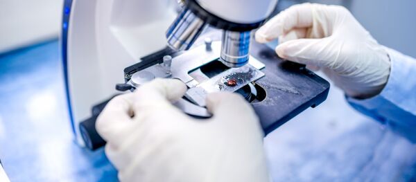 چرا امریکا اوکراین را به بمب بیولوژیکی مبدل میسازد - اسپوتنیک افغانستان  