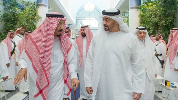 Saudi Arabia's King Salman bin Abdulaziz Al Saud (L) chats with Abu Dhabi Crown Prince Sheikh Mohammed bin Zayed al-Nahyan in Jeddah, Saudi Arabia, June 2, 2017. Picture taken June 2, 2017. - اسپوتنیک افغانستان  