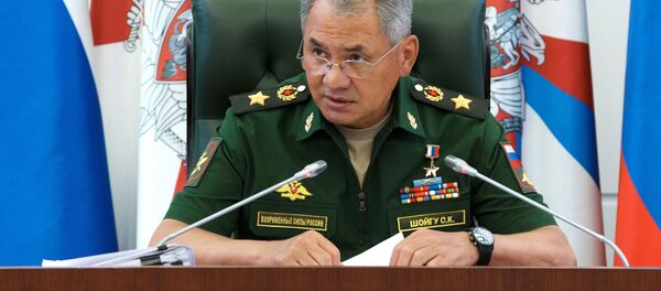 شایگو: موقعیت روسیه را در آسیای مرکزی «بی ثبات» تقویت می کنیم شایگو: موقعیت روسیه را در آسیای مرکزی «بی ثبات» تقویت می کنیم - اسپوتنیک افغانستان