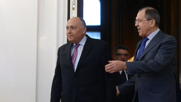 وزیر خارجه مصر پیام رهبر کشورش به پوتین را به لاوروف سپرد - اسپوتنیک افغانستان  