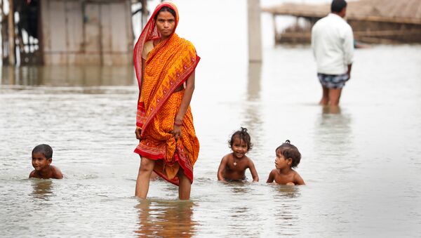 مقامات هندی: در بروز سیلاب اخیر، موش‌ها مقصر اند - اسپوتنیک افغانستان  