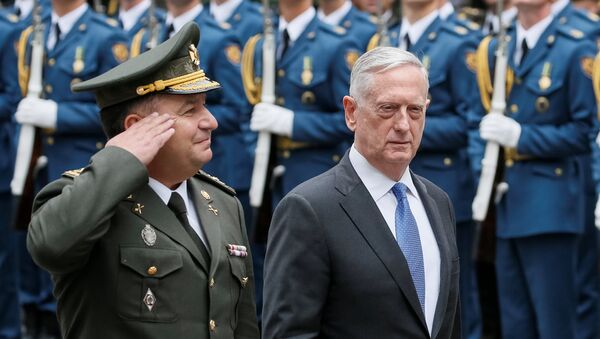 وزیر دفاع امریکا با دستان خالی به اوکراین سفر نکرده است - اسپوتنیک افغانستان  