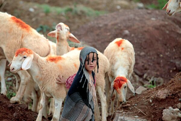 این دختر در کنار گوسفندی که در نزدیکی جاده  در اسلام آباد پاکستان - اسپوتنیک افغانستان  