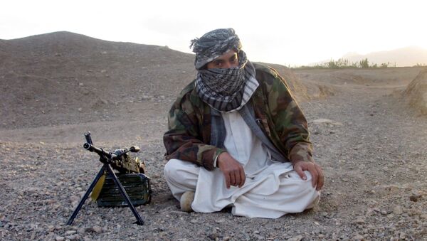 طالبان با شیعیان تضاد و مشکل ندارد - اسپوتنیک افغانستان  