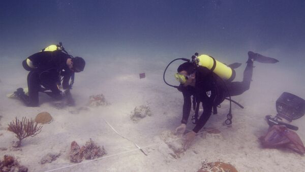 Underwater archaeologists. Florida (File) - اسپوتنیک افغانستان  