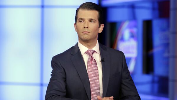 In this July 11, 2017, photo, Donald Trump Jr. is interviewed by host Sean Hannity on the Fox News Channel television program - اسپوتنیک افغانستان  