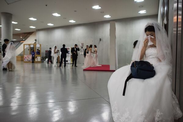گریه عروس در عروسی دسته جمعی - کوریای جنوبی - اسپوتنیک افغانستان  