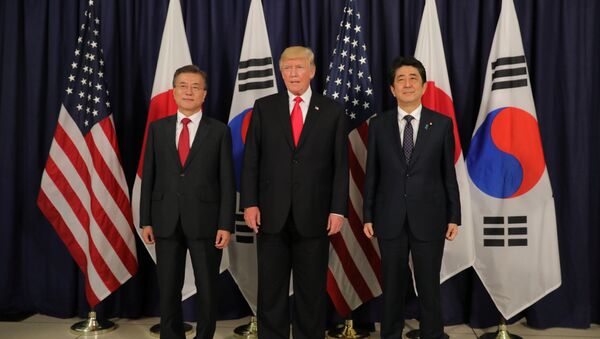 کوریای جنوبی: مون و ترامپ به اعمال تحریم های تازه در برابر کوریای شمالی موافق هستند - اسپوتنیک افغانستان  