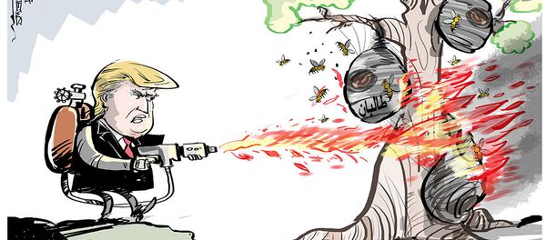 С ПРИХОДОМ ТРАМПА КОЛИЧЕСТВО АВИАУДАРОВ ВВС В АФГАНИСТАНЕ РЕЗКО ВОЗРОСЛО С ПРИХОДОМ ТРАМПА КОЛИЧЕСТВО АВИАУДАРОВ ВВС В АФГАНИСТАНЕ РЕЗКО ВОЗРОСЛО - اسپوتنیک افغانستان