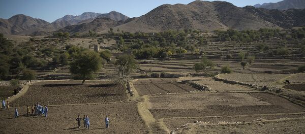 Дети помогают готовить почву для выращивания мака в провинции Нангархар, Афганистан - اسپوتنیک افغانستان  