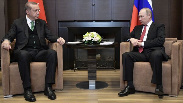Президент Турции Реджеп Тайип Эрдоган и президент России Владимир Путин во время встречи - اسپوتنیک افغانستان  
