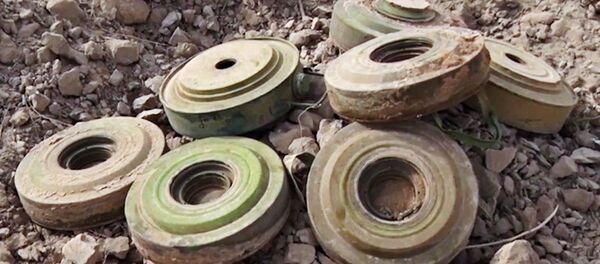 کمک 1.2 میلیونی جاپان برای ماین روبی در افغانستان کمک 1.2 میلیونی جاپان برای ماین روبی در افغانستان - اسپوتنیک افغانستان
