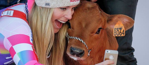 تولد گوساله دوسره در پاکستان+ویدیو تولد گوساله دوسره در پاکستان+ویدیو - اسپوتنیک افغانستان