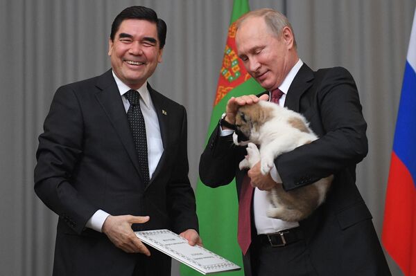 قربانقلی بردی محمدوف، رئیس جمهور ترکمنستان، چوچه سگ سگ  را به ولادیمیر پوتین، رئیس جمهور روسیه، تحفه داد - اسپوتنیک افغانستان  