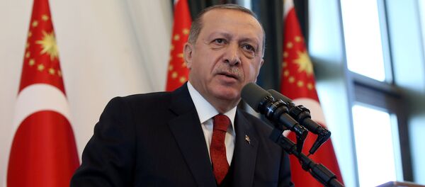 اردوغان: ایالات متحده به تمام جهان دروغ می گوید - اسپوتنیک افغانستان  