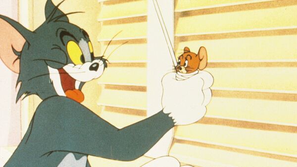 Tom & Jerry  در زندگی واقعی + ویدیو - اسپوتنیک افغانستان  