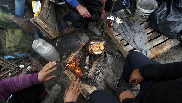 عدم مصونیت غذایی سی‌و سه درصد مردم افغانستان - اسپوتنیک افغانستان  