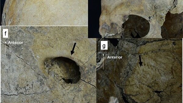 Черепа со следами ударов, найденных при археологических раскопках в нагорье Пакопампа, Перу - اسپوتنیک افغانستان  