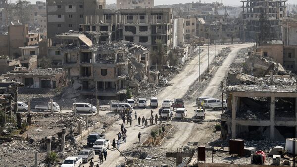 Вид на сирийский город Ракка после того, как он был освобожден от боевиков ИГ (запрещена в России) - اسپوتنیک افغانستان  