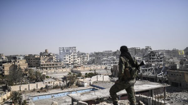 Боец Сирийских демократических сил смотрит на город Ракку после того, как он был освобожден от боевиков ИГ (запрещена в России) - اسپوتنیک افغانستان  