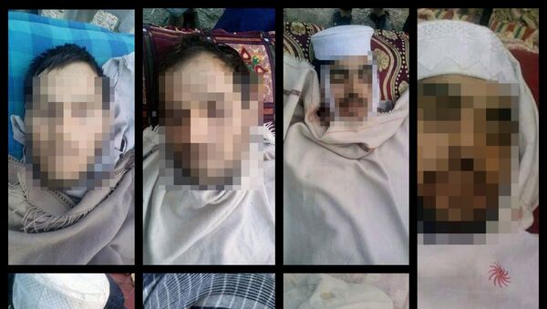 بار دیگر 7 تن از افراد ملکی در نتیجه یک رشته عملیات مشترک هوایی در ولایت ننگرهار کشته شدند - اسپوتنیک افغانستان  