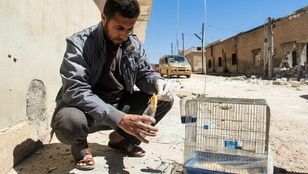 تلاش ناکام تروریست‌ها برای حمله شیمیایی در ادلب - اسپوتنیک افغانستان  