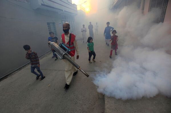 یک کارمند شهرداری، خیابان را برای جلوگیری از  بیماری های پشه در راولپندی پاکستان دوا پاشی میکند - اسپوتنیک افغانستان  