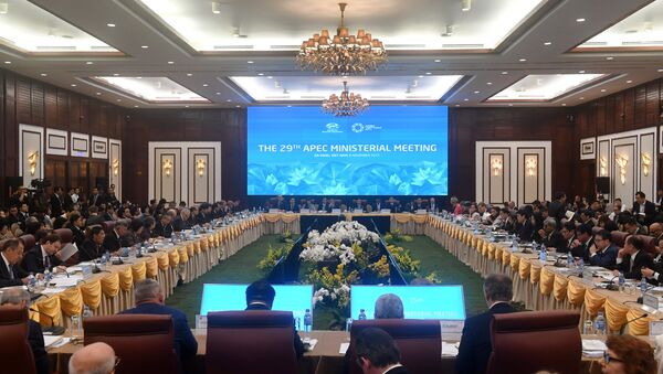 General view shows ministers as they attend the opening of the APEC Ministerial Meeting (AMM) ahead of the Asia-Pacific Economic Cooperation (APEC) Summit leaders meetings in Danang, Vietnam, November 8, 2017 - اسپوتنیک افغانستان  