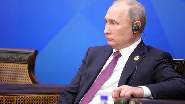 Президент РФ Владимир Путин на встрече лидеров экономик форума АТЭС во Вьетнаме - اسپوتنیک افغانستان  