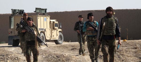 کشته شدن هشت جنگجوی طالب در ولایت کاپیسا کشته شدن هشت جنگجوی طالب در ولایت کاپیسا - اسپوتنیک افغانستان