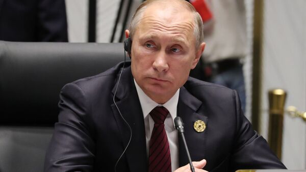 Президент России Владимир Путин на саммите АТЭС во Вьетнаме - اسپوتنیک افغانستان  