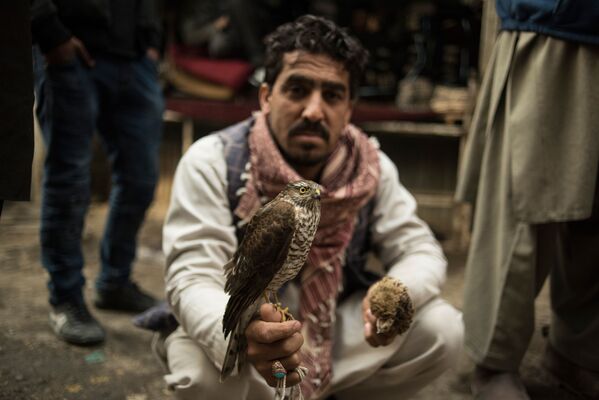 کوچه مرغ ها - اسپوتنیک افغانستان  