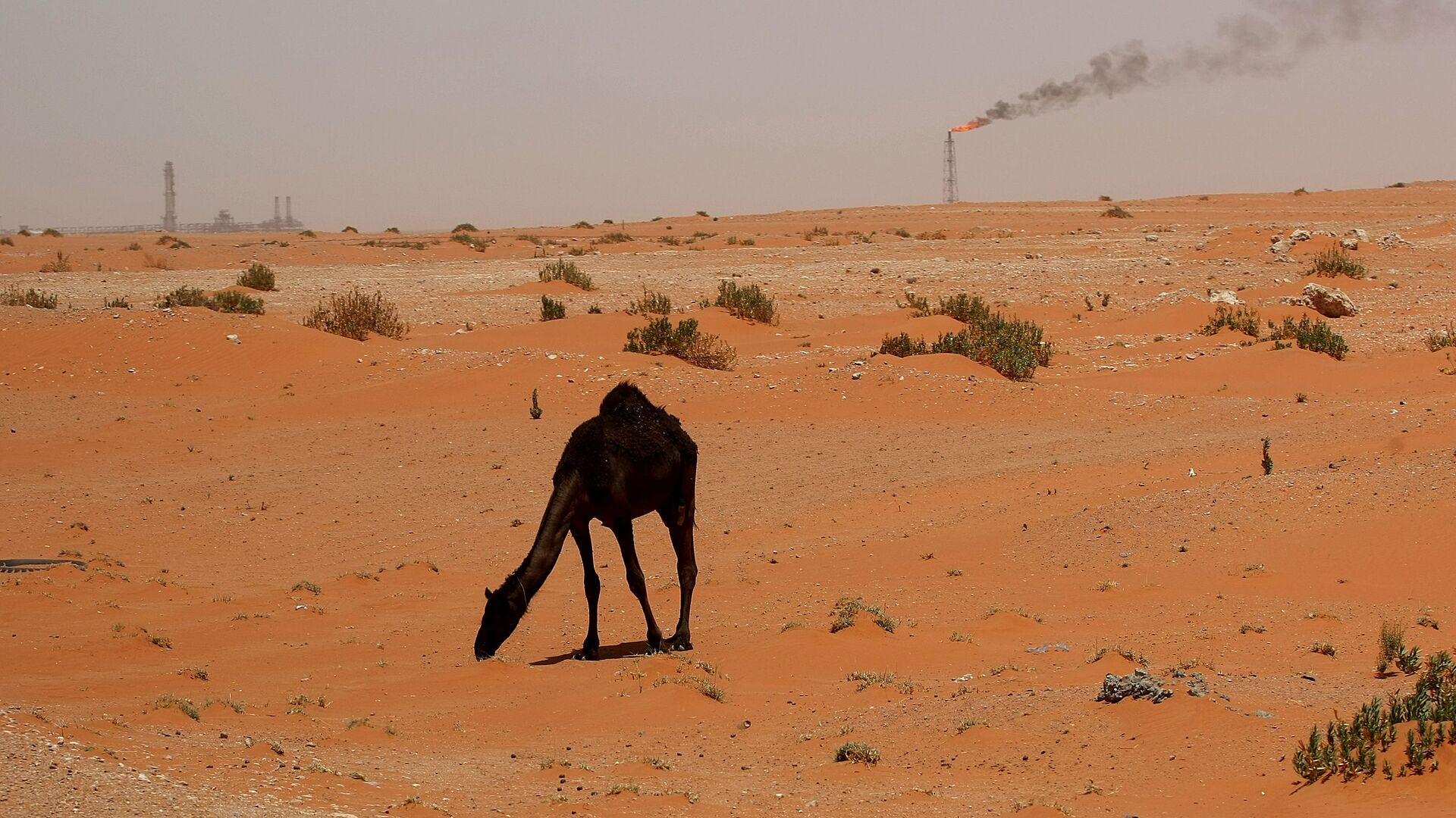 Нефтяные вышки в Саудовской Аравии - اسپوتنیک افغانستان  , 1920, 20.03.2022