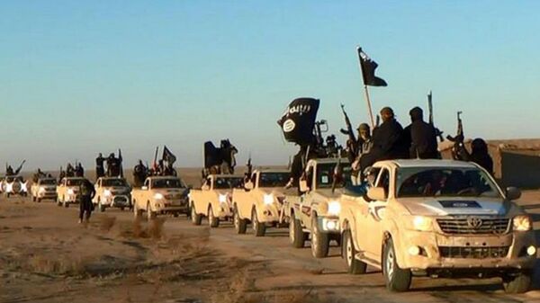 In this undated file photo released by a militant website, which has been verified and is consistent with other AP reporting, militants of the Islamic State group hold up their weapons and wave its flags on their vehicles in a convoy on a road leading to Iraq, while riding in Raqqa city in Syria - اسپوتنیک افغانستان  