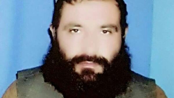 معاون والی نام نهاد طالبان برای ولایت هلمند کشته شد - اسپوتنیک افغانستان  