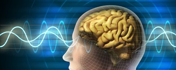 خطرناکترین غذاها برای مغز انسان خطرناکترین غذاها برای مغز انسان - اسپوتنیک افغانستان